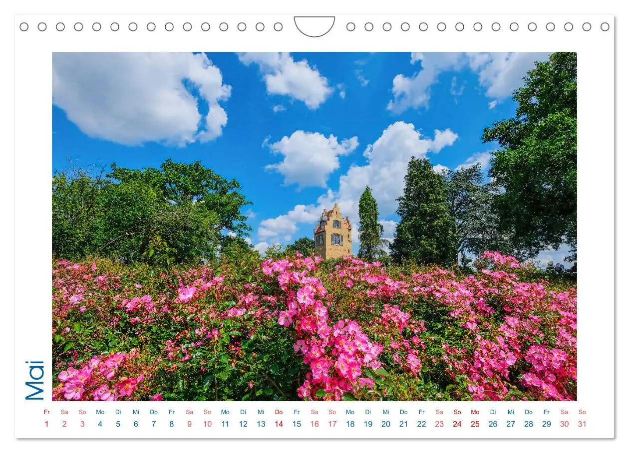 Bild: 9783457365847 | Blickfang Darmstadt! (Wandkalender 2026 DIN A4 quer), CALVENDO...