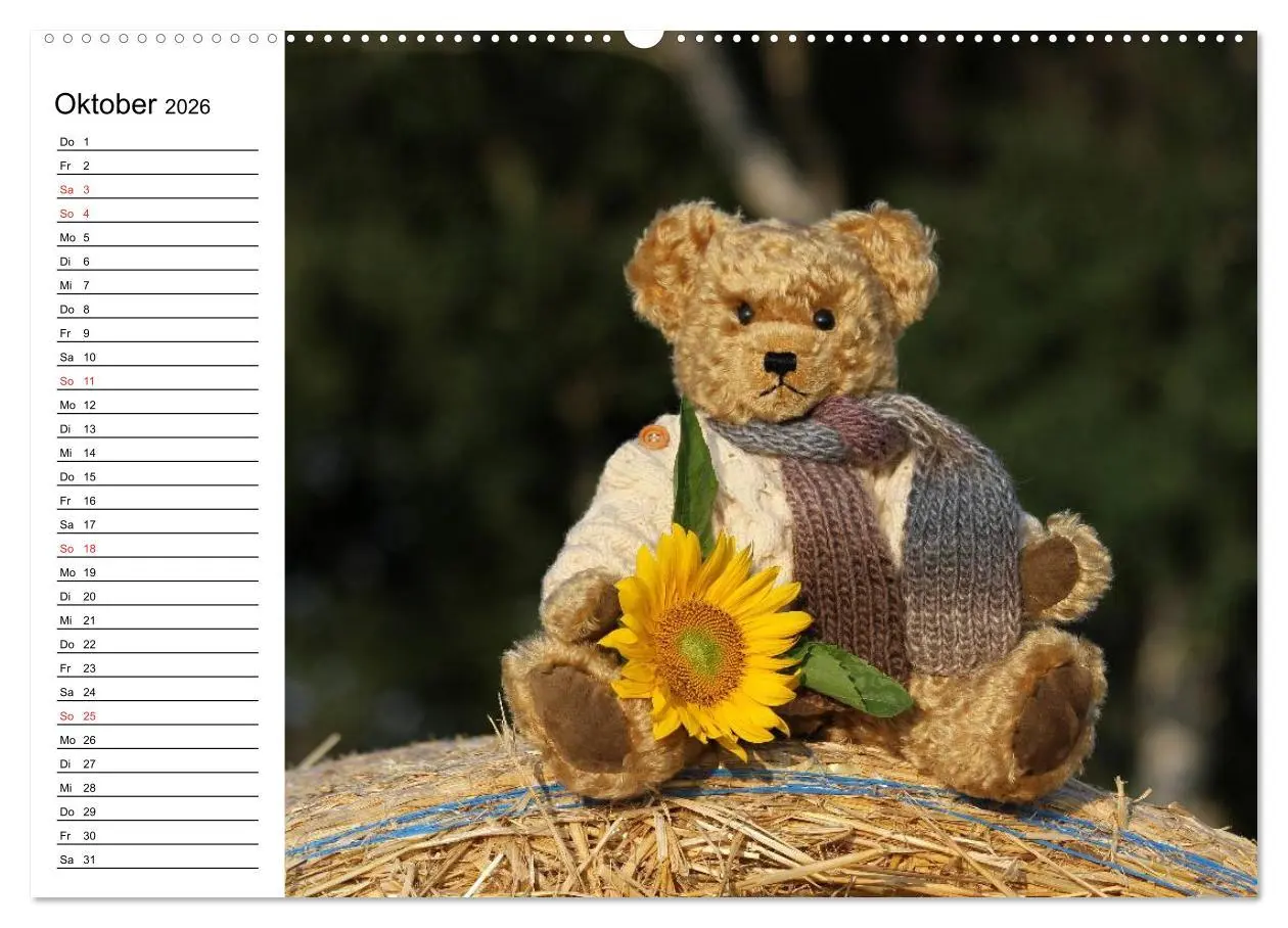 Bild: 9783457985847 | Teddy unterwegs (hochwertiger Premium Wandkalender 2026 DIN A2...