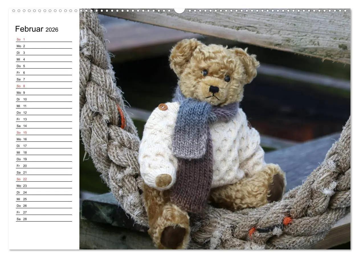 Bild: 9783457985847 | Teddy unterwegs (hochwertiger Premium Wandkalender 2026 DIN A2...