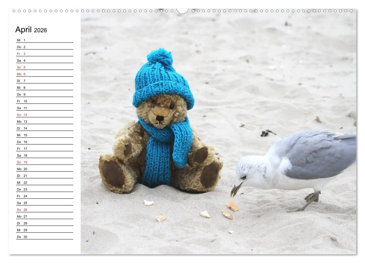 Bild: 9783457985847 | Teddy unterwegs (hochwertiger Premium Wandkalender 2026 DIN A2...
