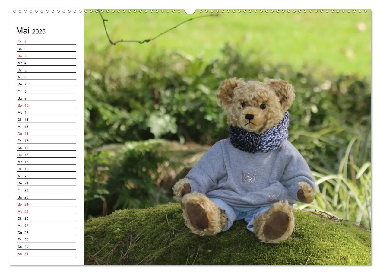 Bild: 9783457985847 | Teddy unterwegs (hochwertiger Premium Wandkalender 2026 DIN A2...