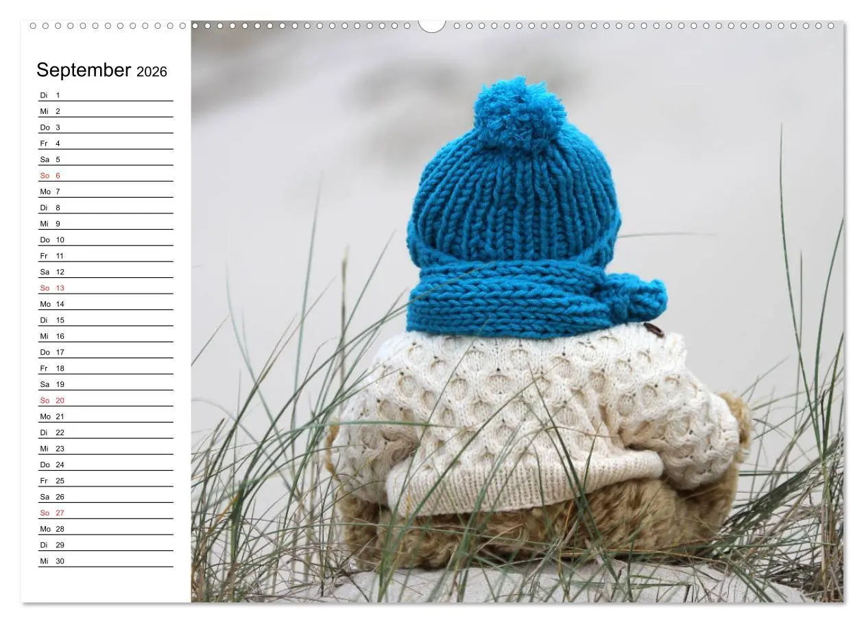 Bild: 9783457985847 | Teddy unterwegs (hochwertiger Premium Wandkalender 2026 DIN A2...