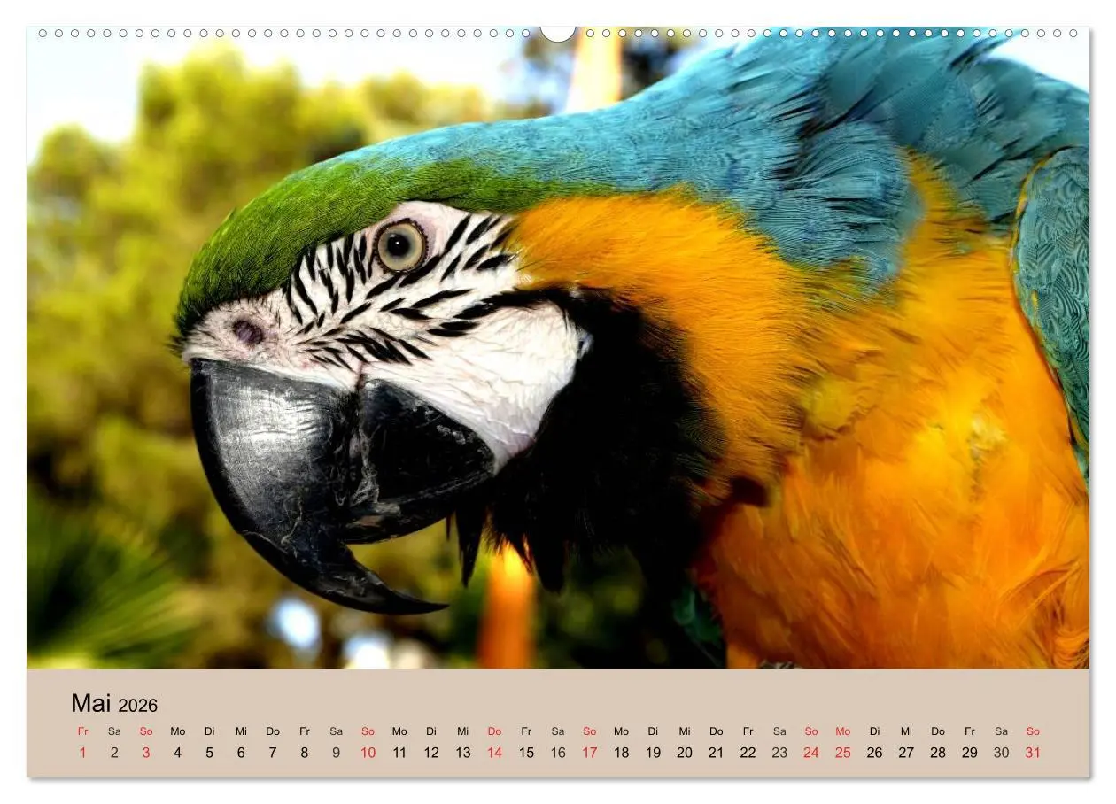 Bild: 9783516145847 | Brasilien. Impressionen (Wandkalender 2026 DIN A2 quer), CALVENDO...