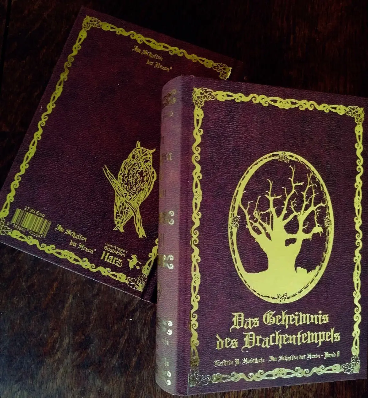 Cover: 9783943455847 | Im Schatten der Hexen VIII | Kathrin R. Hotowetz | Buch | 616 S.
