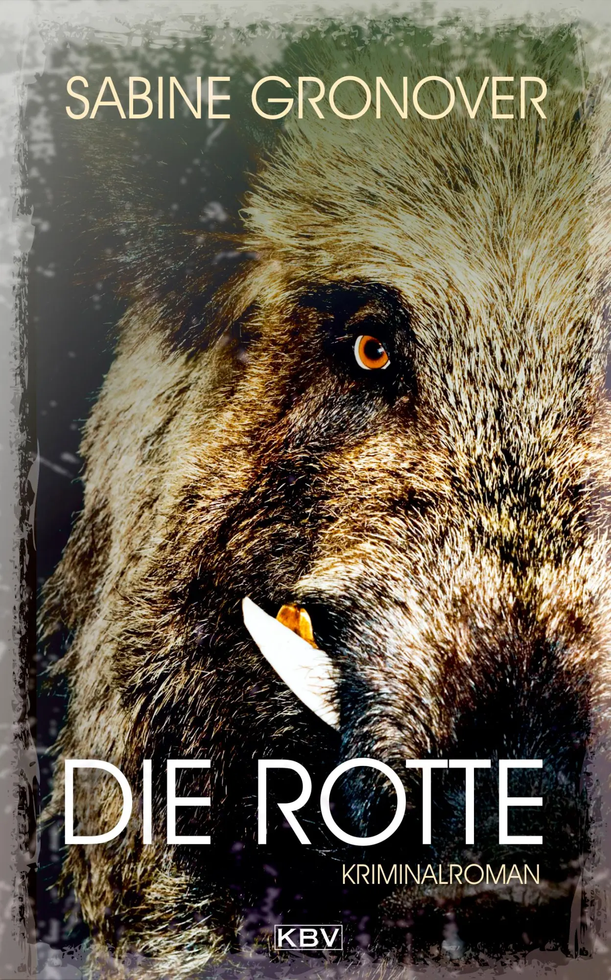 Cover: 9783954415847 | Die Rotte | Kriminalroman | Sabine Gronover | Taschenbuch | 320 S.