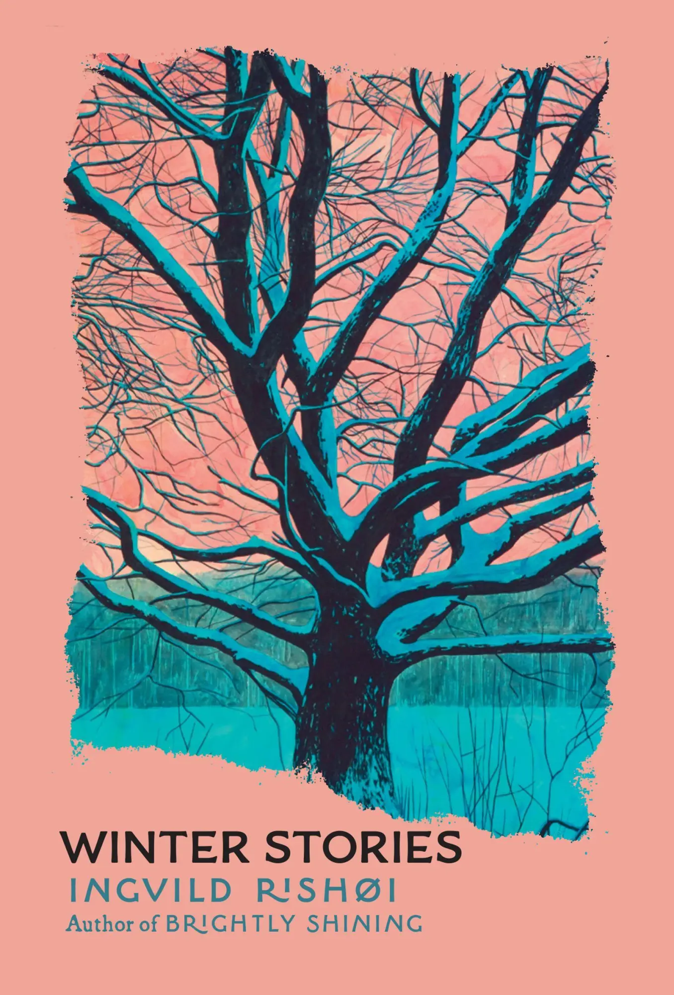 Cover: 9780802165947 | Winter Stories | Ingvild Rishøi | Buch | Englisch | 2025