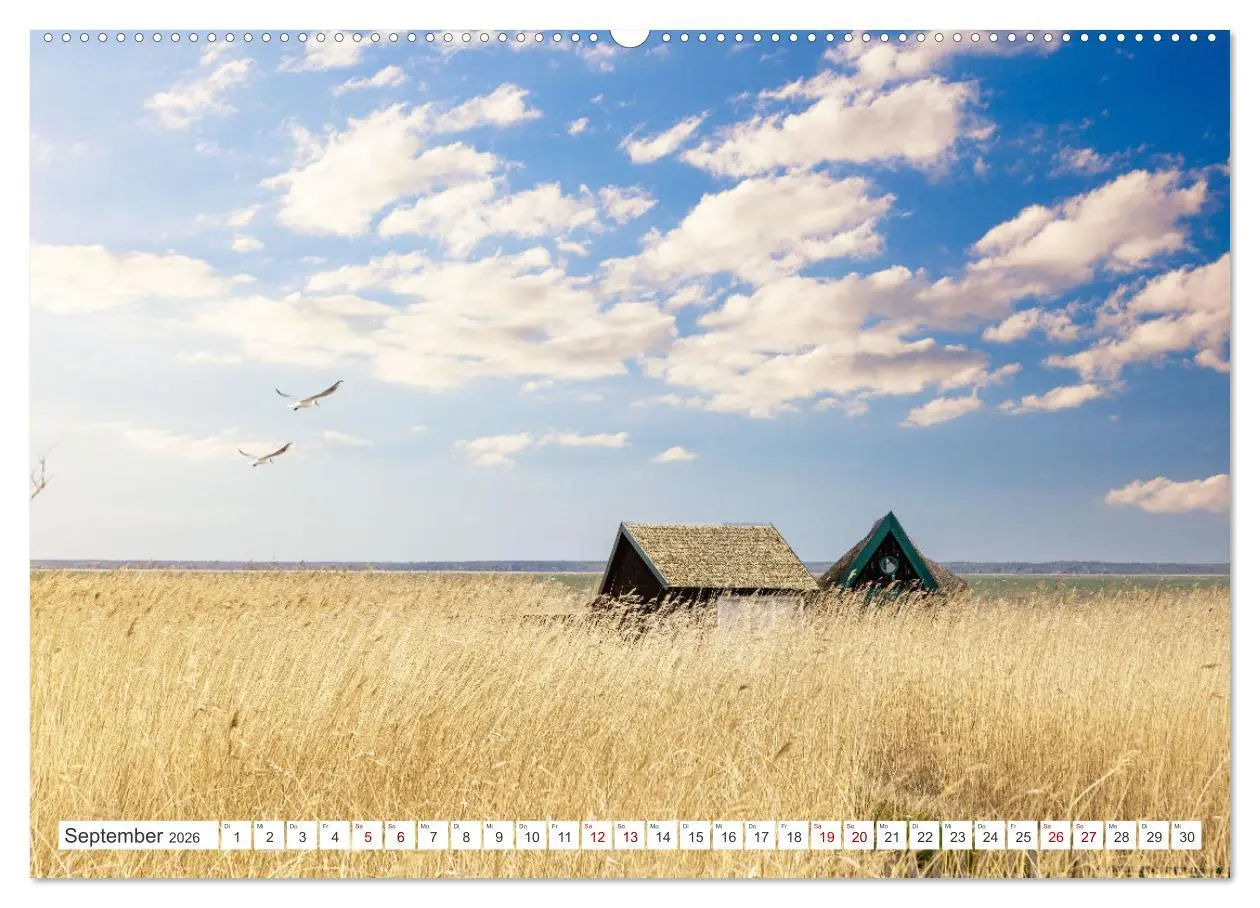 Bild: 9783457425947 | Fischland Darß, Land zwischen Ostsee und Bodden (hochwertiger...