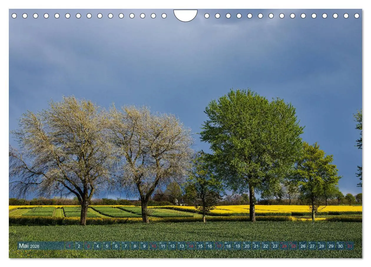 Bild: 9783457735947 | Kappeln und die Schlei (Wandkalender 2026 DIN A4 quer), CALVENDO...