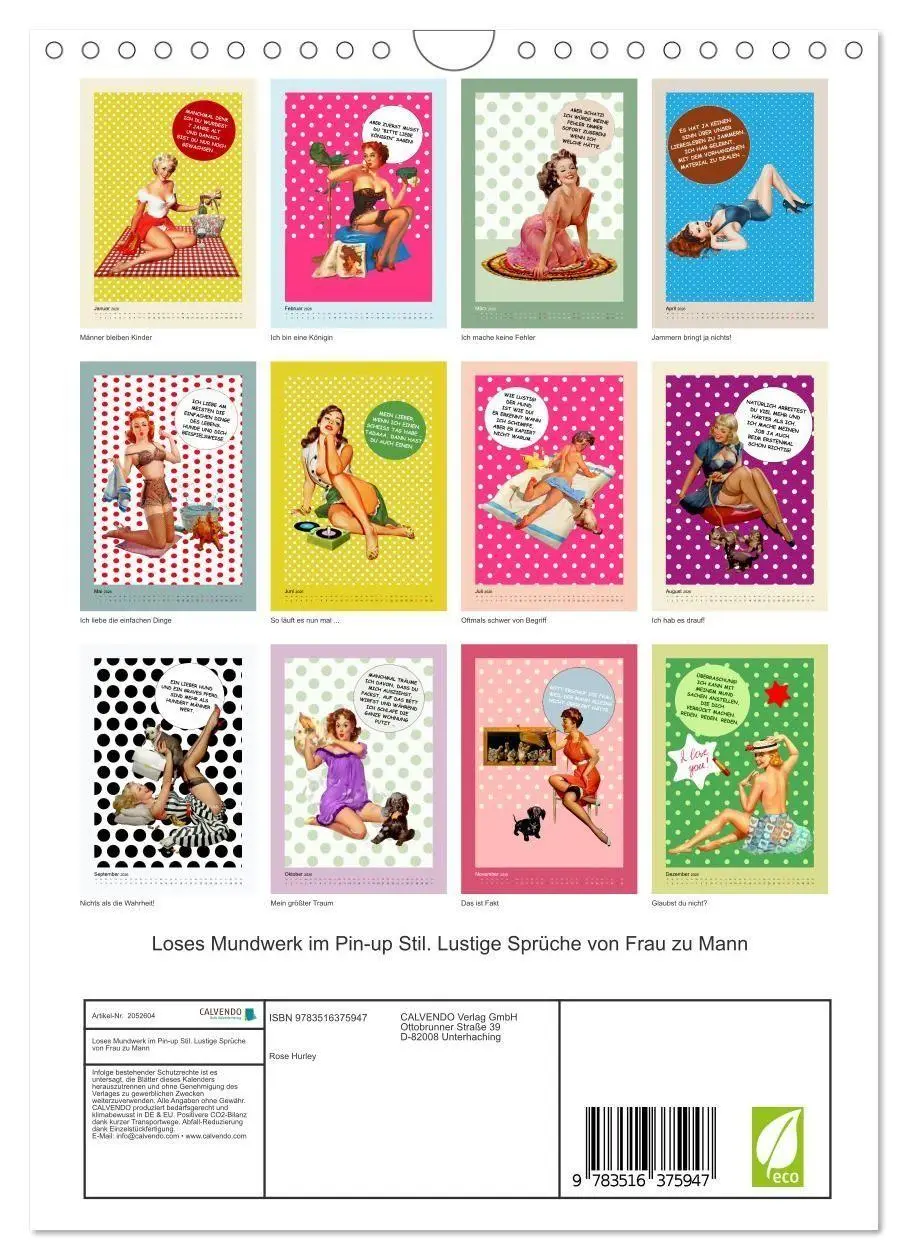 Bild: 9783516375947 | Loses Mundwerk im Pin-up Stil. Lustige Sprüche von Frau zu Mann...