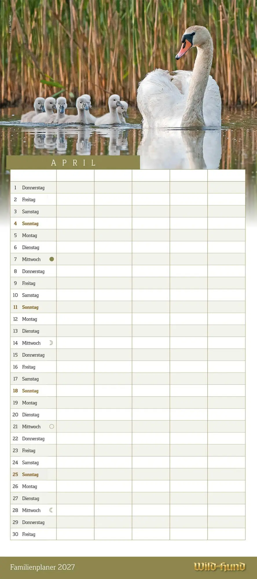 Bild: 9783897155947 | WILD UND HUND Edition : Familienplaner Kalender 2027 | HUND | Kalender