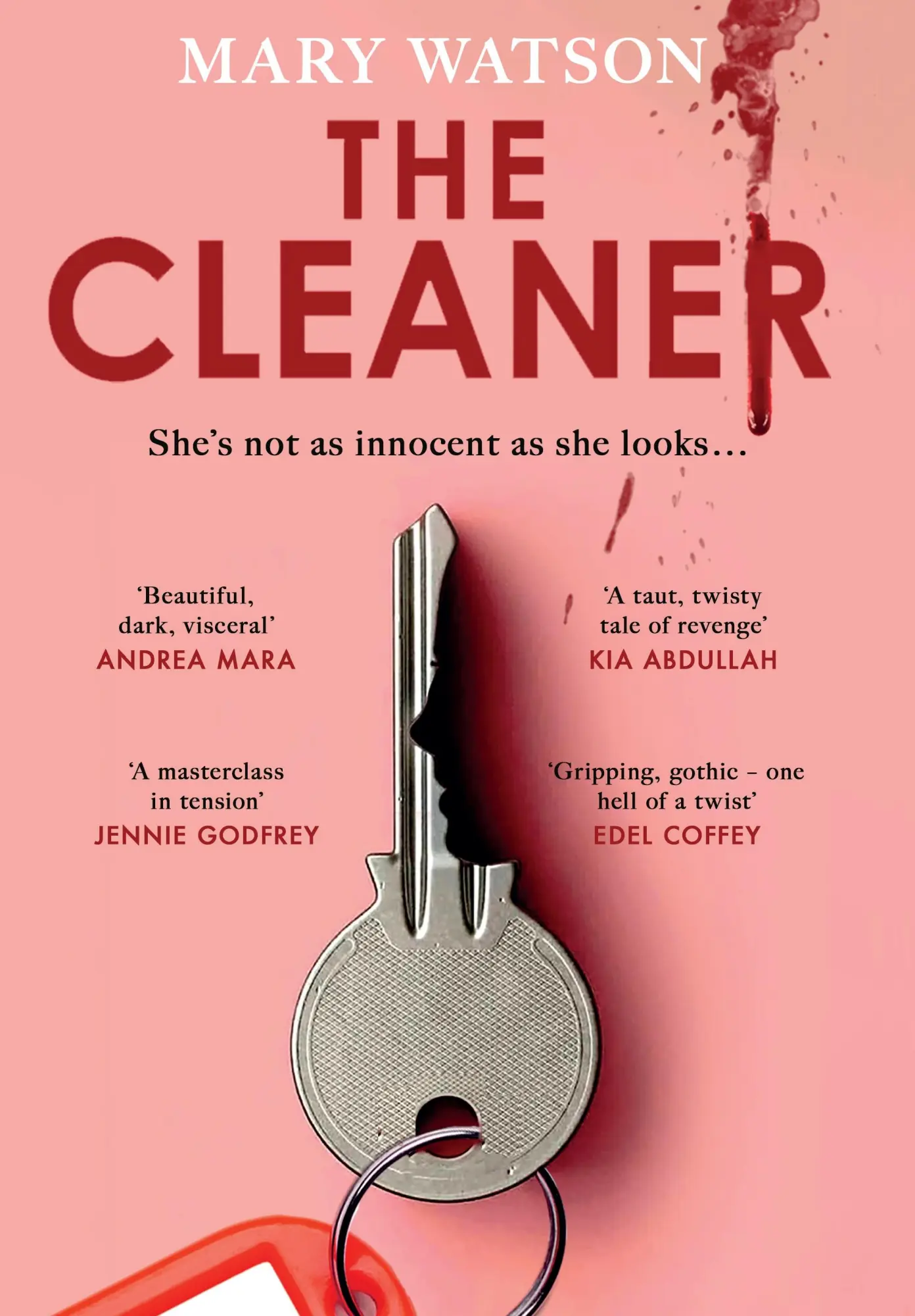 Cover: 9780857506047 | The Cleaner | Mary Watson | Taschenbuch | Englisch | 2025