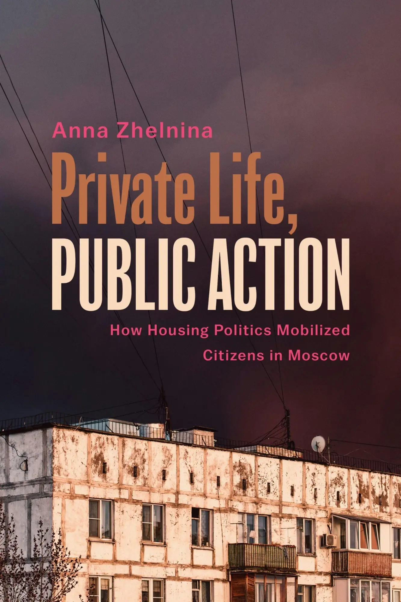 Cover: 9781439926147 | Private Life, Public Action | Anna Zhelnina | Taschenbuch | Englisch