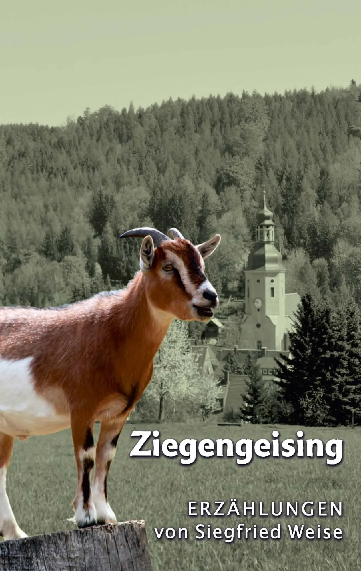 Cover: 9783738636147 | Ziegengeising | Erzählungen | Siegfried Weise | Taschenbuch | 164 S.