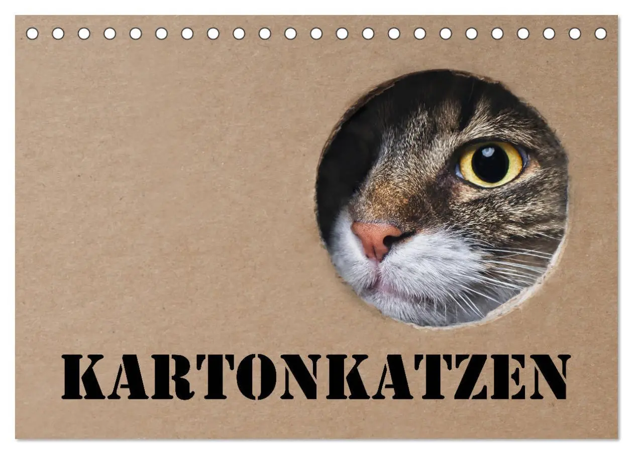 Cover: 9783457776247 | Karton Katzen (Tischkalender 2026 DIN A5 quer), CALVENDO...