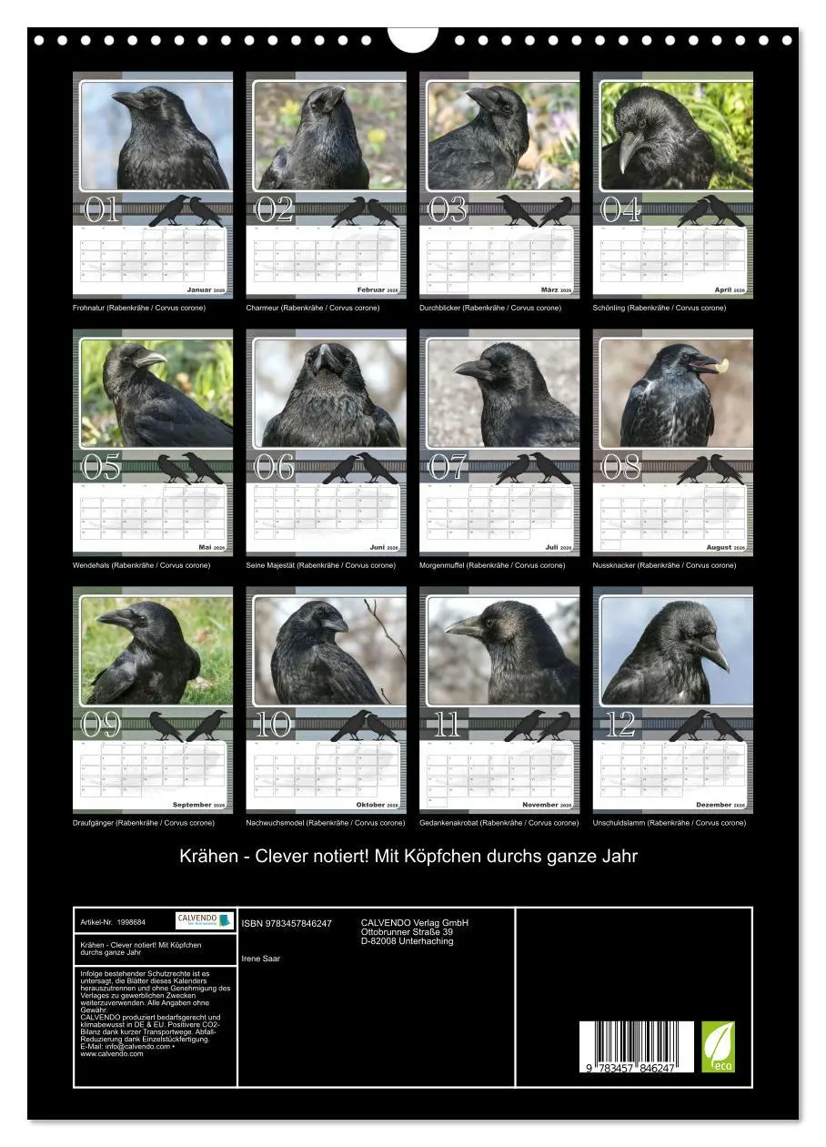 Bild: 9783457846247 | Krähen - Clever notiert! Mit Köpfchen durchs ganze Jahr...