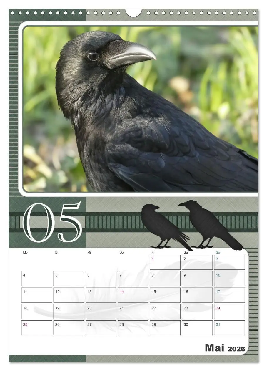 Bild: 9783457846247 | Krähen - Clever notiert! Mit Köpfchen durchs ganze Jahr...