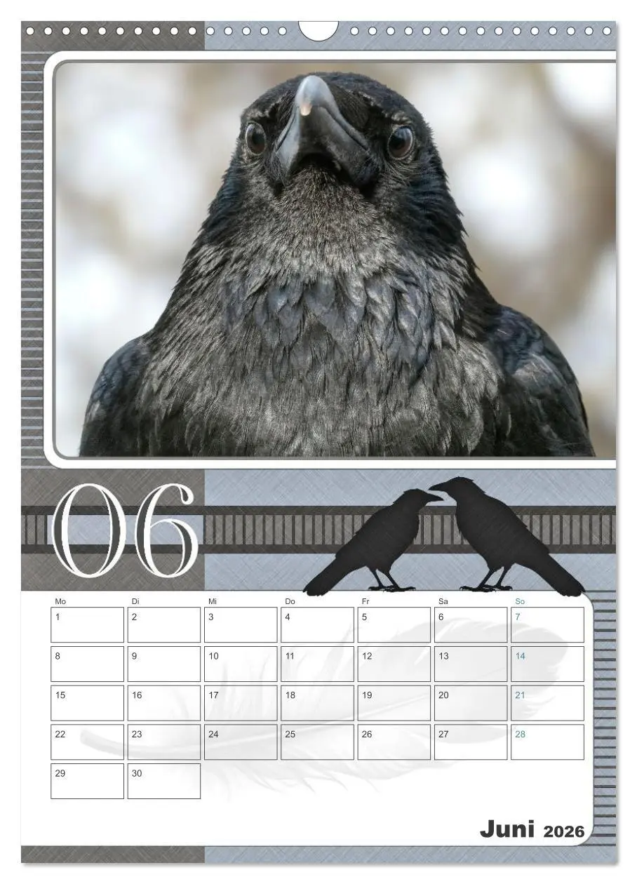 Bild: 9783457846247 | Krähen - Clever notiert! Mit Köpfchen durchs ganze Jahr...