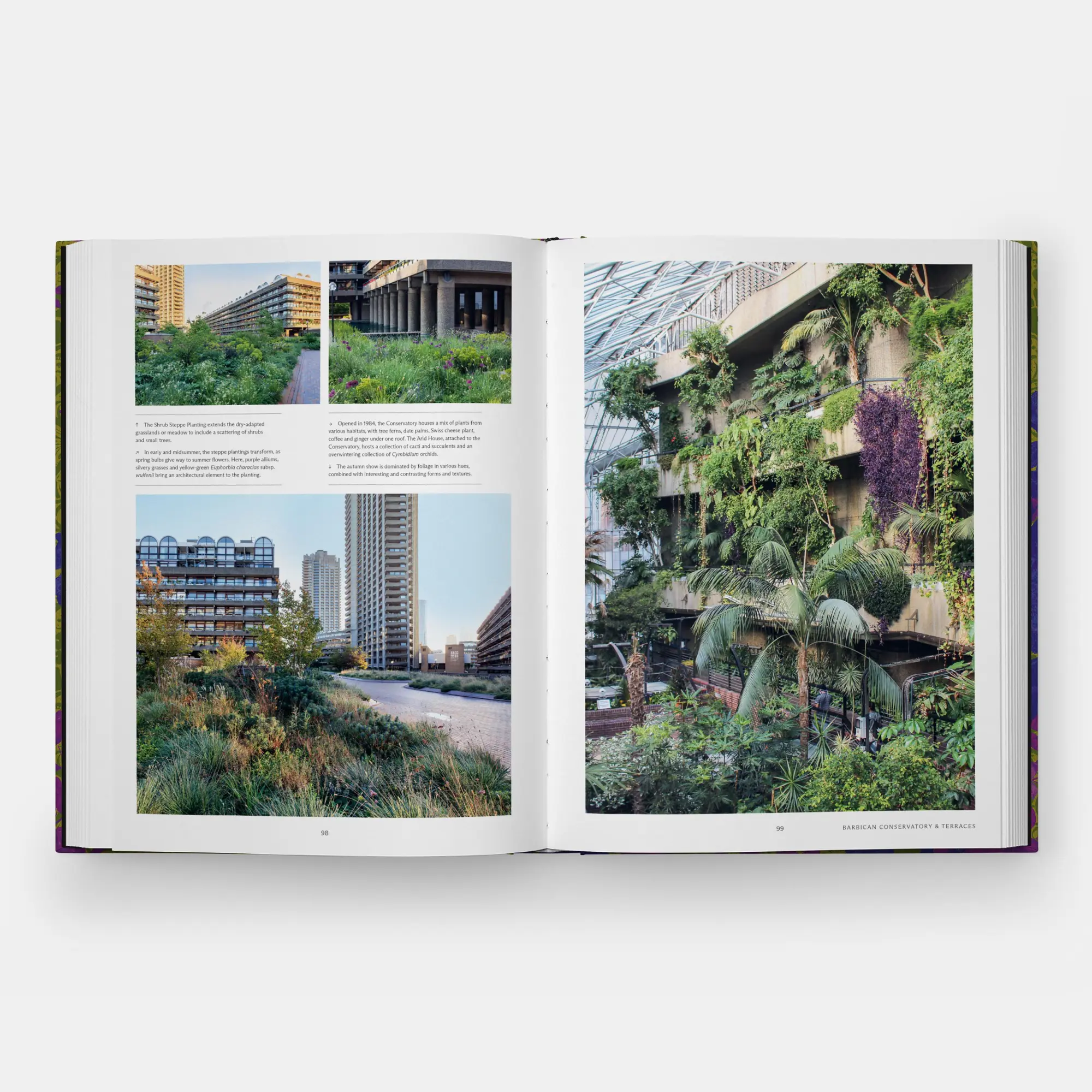 Bild: 9781838666347 | The English Gardener's Garden | Phaidon Editors (u. a.) | Buch | 2023