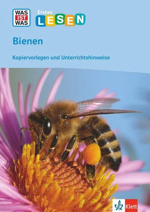 Cover: 9783123106347 | WAS IST WAS Erstes LESEN - Bienen | Taschenbuch | Deutsch | 2026