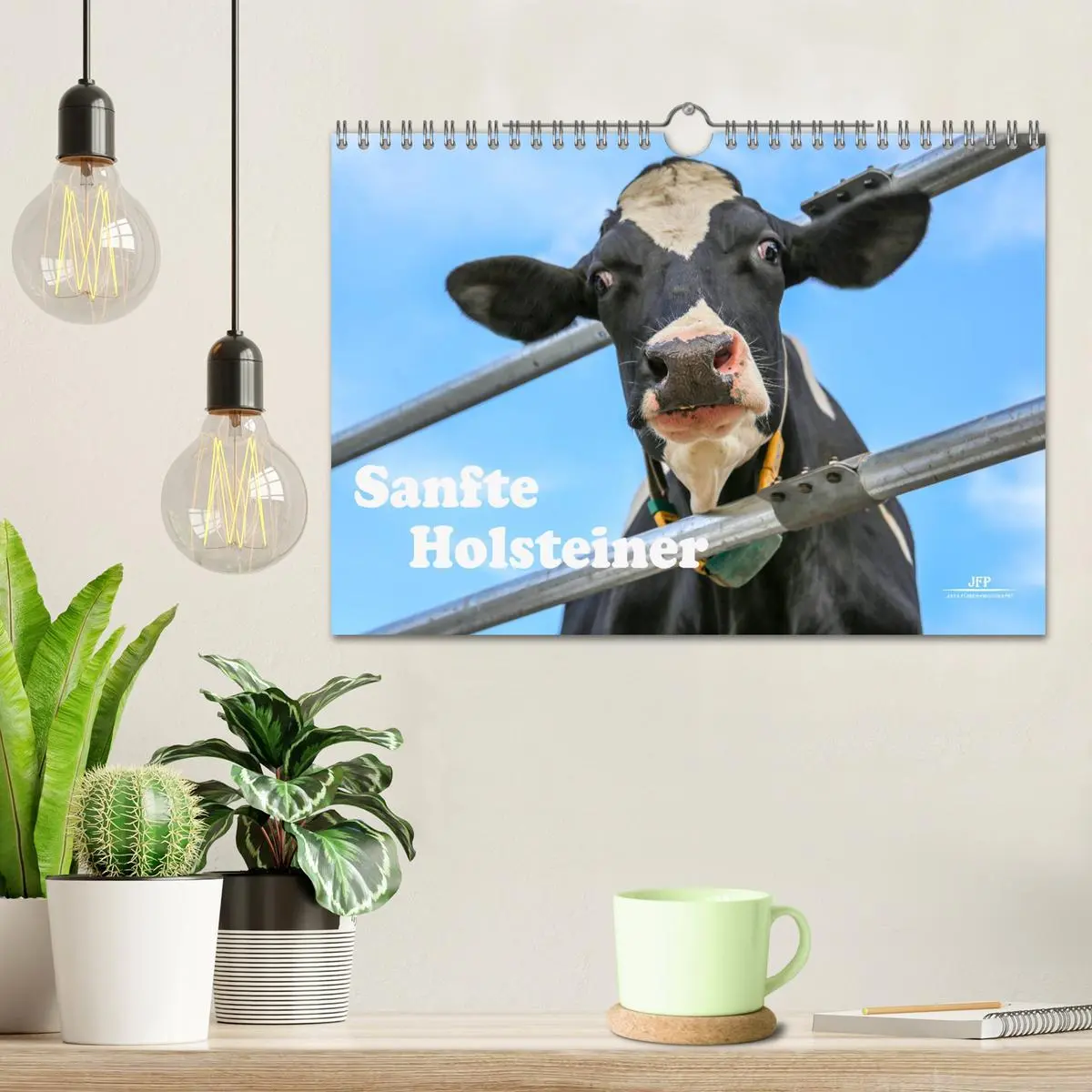 Bild: 9783457836347 | Sanfte Holsteiner (Wandkalender 2026 DIN A4 quer), CALVENDO...