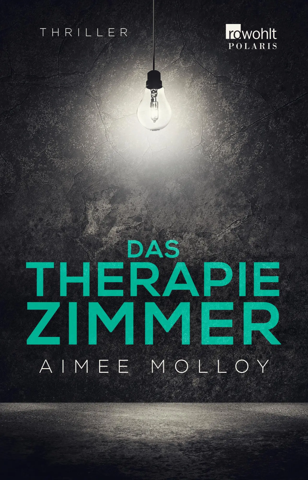 Cover: 9783499276347 | Das Therapiezimmer | Psychothriller | Aimee Molloy | Taschenbuch