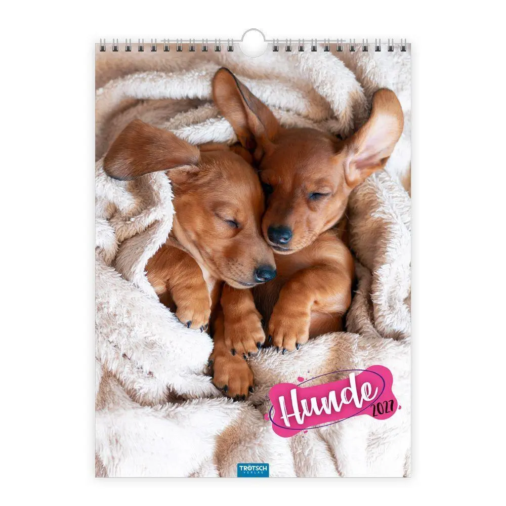 Cover: 9783988026347 | TRÖTSCH - Classickalender Hunde 2027 | Wandkalender | KG | Kalender
