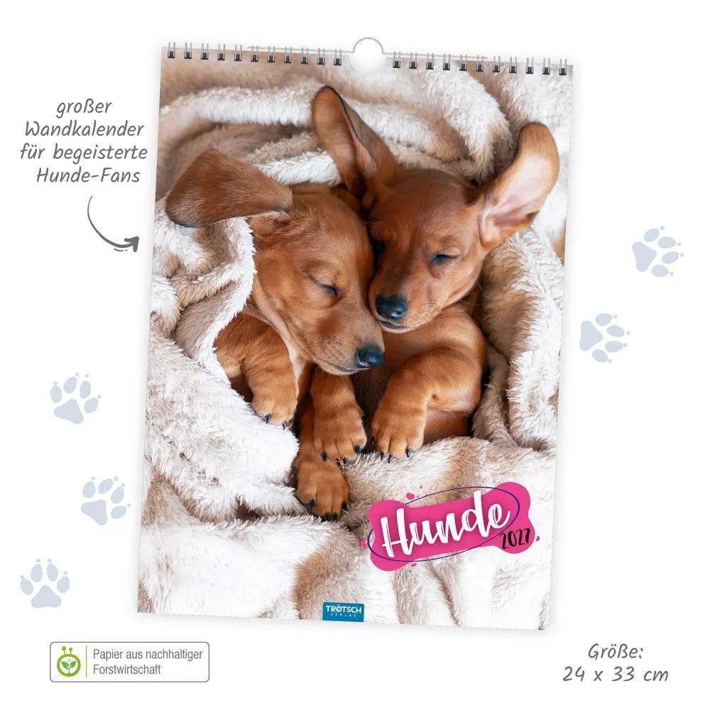 Bild: 9783988026347 | TRÖTSCH - Classickalender Hunde 2027 | Wandkalender | KG | Kalender
