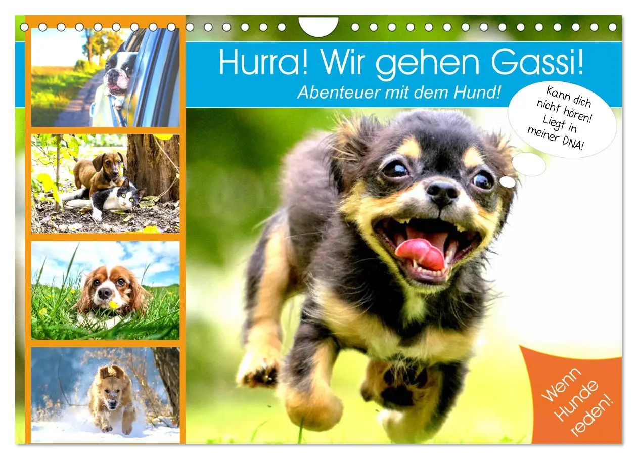 Cover: 9783457756447 | Hurra! Wir gehen Gassi! Abenteuer mit dem Hund! (Wandkalender 2026...