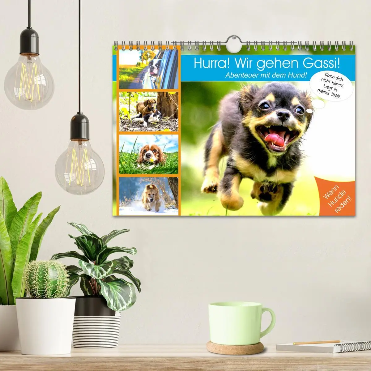 Bild: 9783457756447 | Hurra! Wir gehen Gassi! Abenteuer mit dem Hund! (Wandkalender 2026...