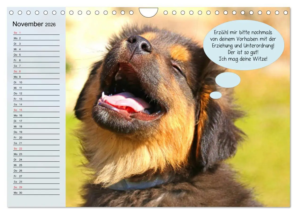 Bild: 9783457756447 | Hurra! Wir gehen Gassi! Abenteuer mit dem Hund! (Wandkalender 2026...