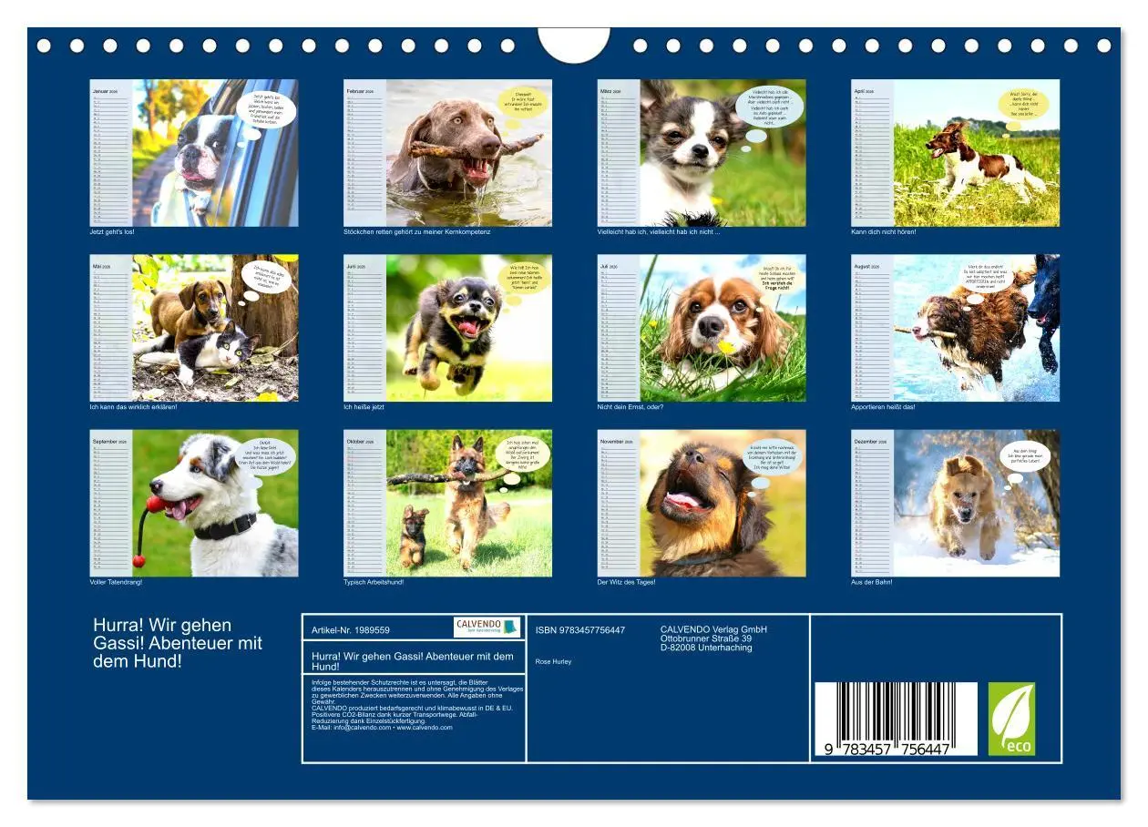 Bild: 9783457756447 | Hurra! Wir gehen Gassi! Abenteuer mit dem Hund! (Wandkalender 2026...