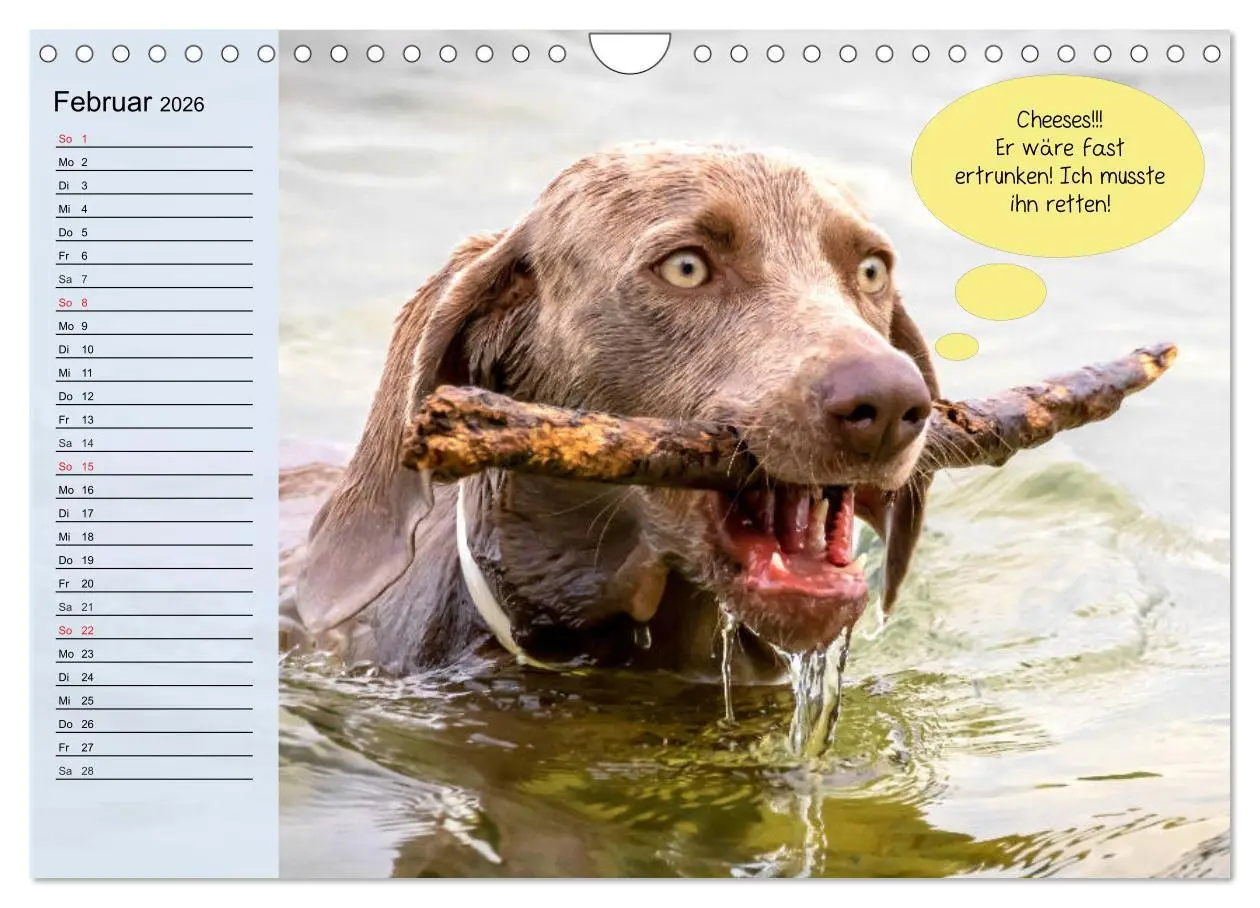 Bild: 9783457756447 | Hurra! Wir gehen Gassi! Abenteuer mit dem Hund! (Wandkalender 2026...