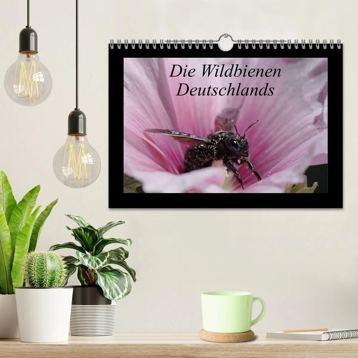 Bild: 9783516156447 | Die Wildbienen Deutschlands (Wandkalender 2026 DIN A4 quer),...