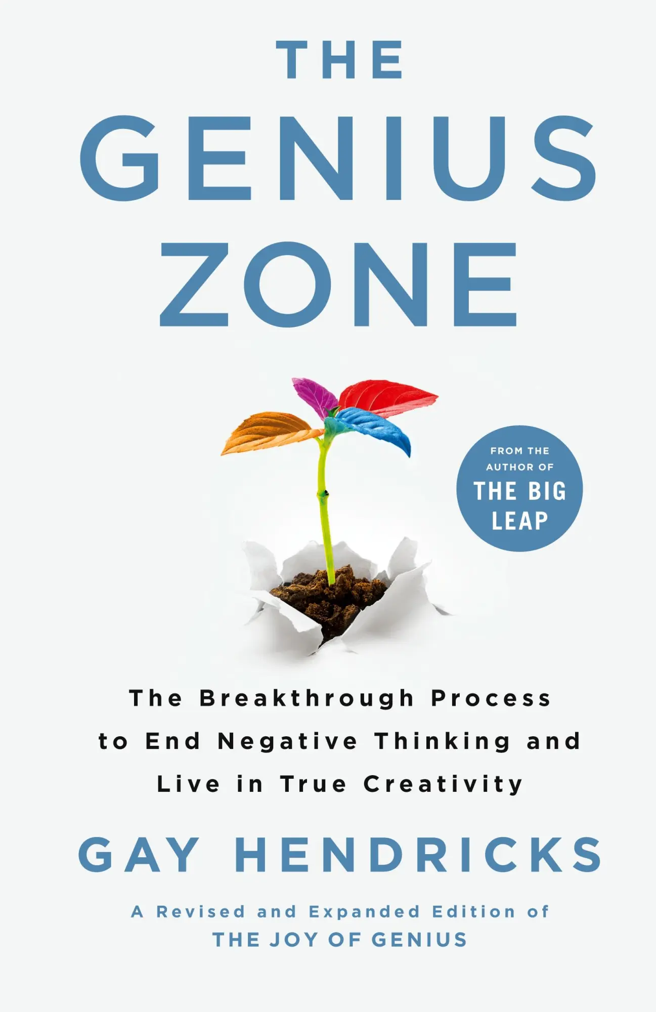 Cover: 9781250246547 | Genius Zone | Gay Hendricks | Buch | Englisch | 2021 | Essentials