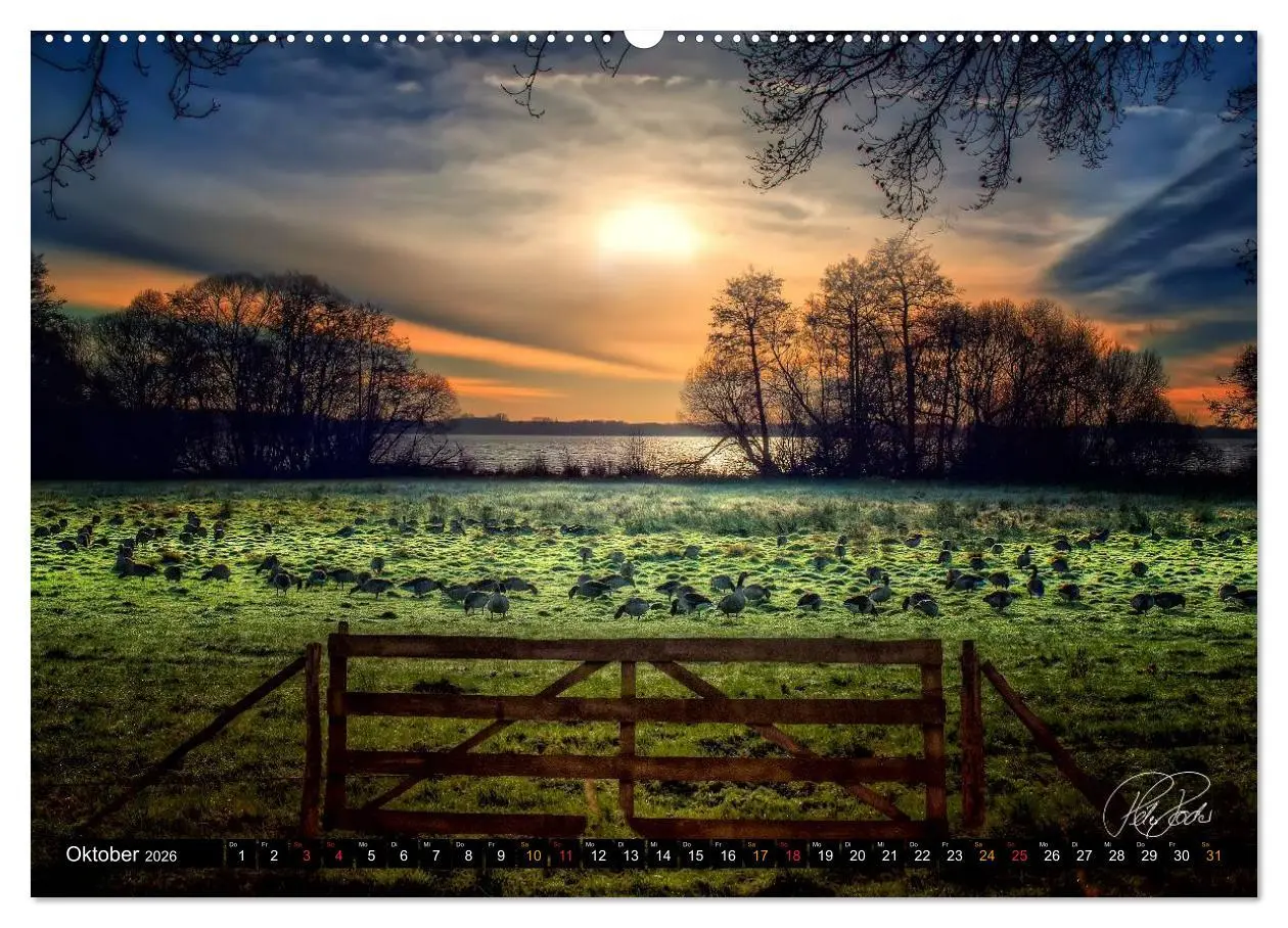 Bild: 9783516146547 | Am Zwischenahner Meer (hochwertiger Premium Wandkalender 2026 DIN...
