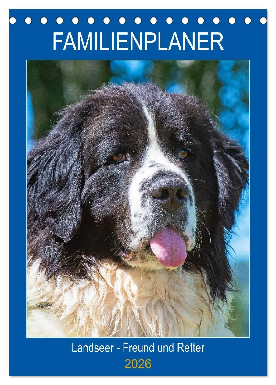 Cover: 9783516386547 | Familienplaner Landseer - Freund und Retter (Tischkalender 2026 DIN...