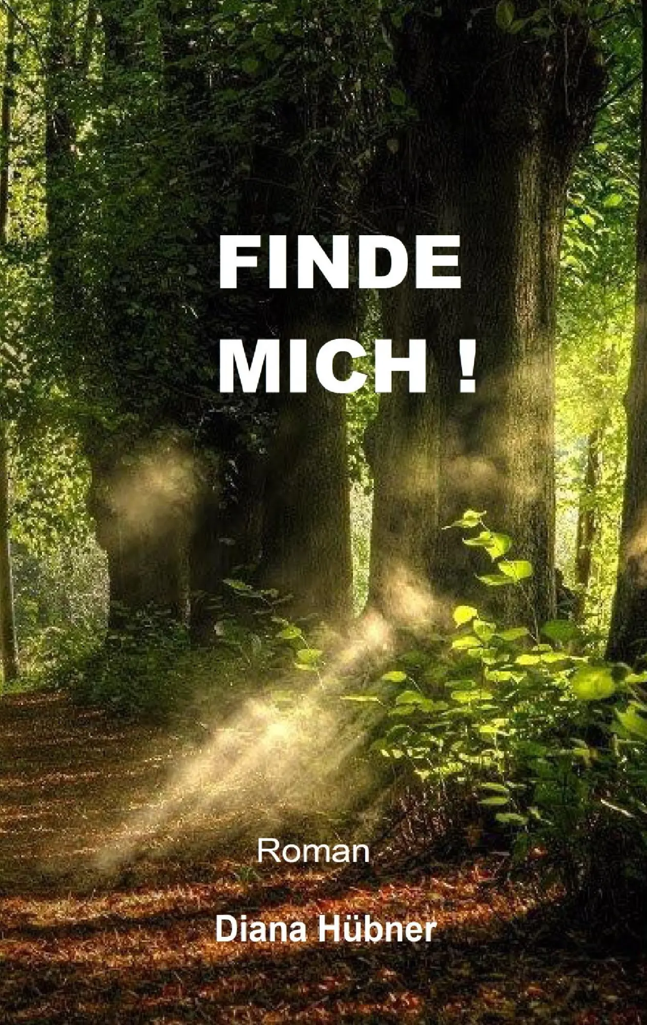 Cover: 9783743166547 | Finde mich! | Diana Hübner | Taschenbuch | 228 S. | Deutsch | 2017
