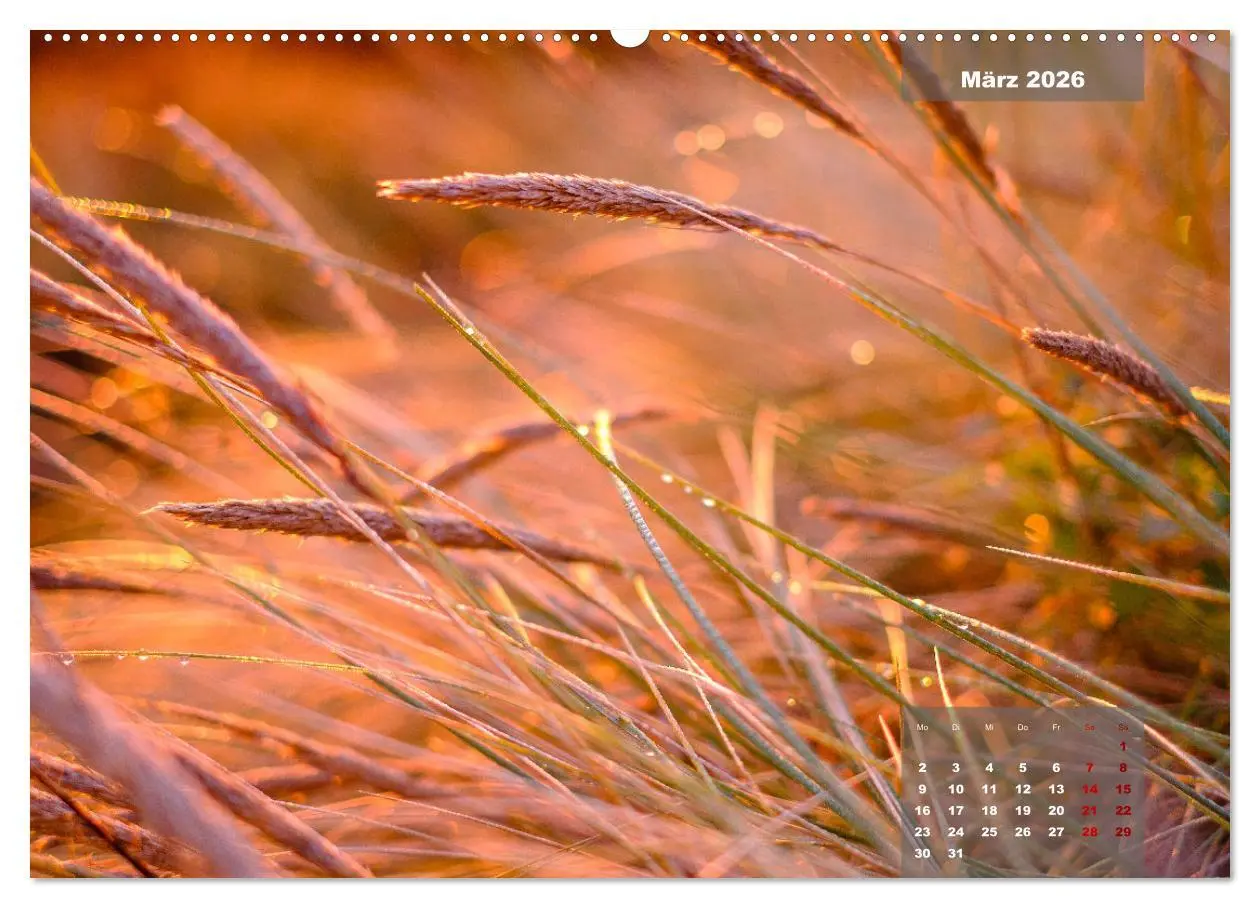 Bild: 9783457596647 | feeling Sylt (Wandkalender 2026 DIN A2 quer), CALVENDO Monatskalender
