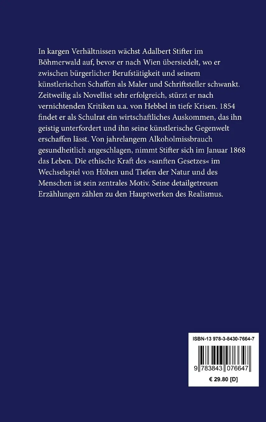 Rückseite: 9783843076647 | Witiko | Historischer Roman | Adalbert Stifter | Buch | 764 S. | 2015