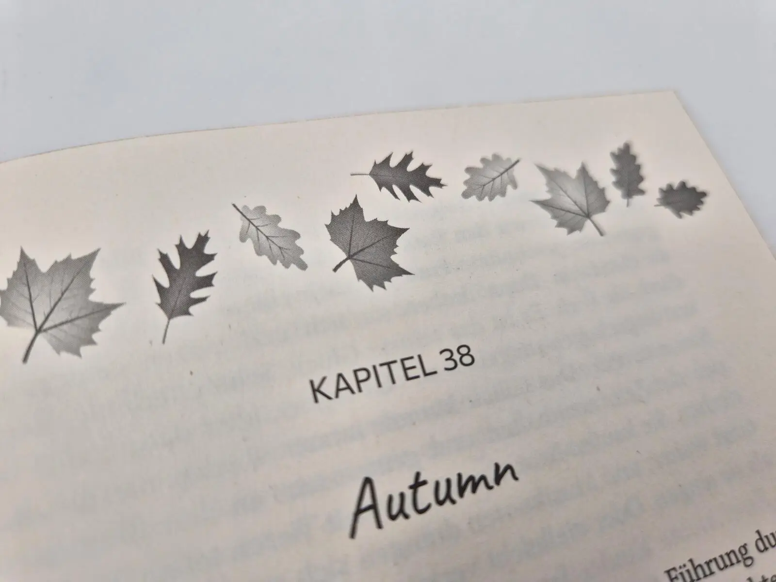 Bild: 9783492066747 | Fall I Want | Lyra Parish | Taschenbuch | 432 S. | Deutsch | 2026
