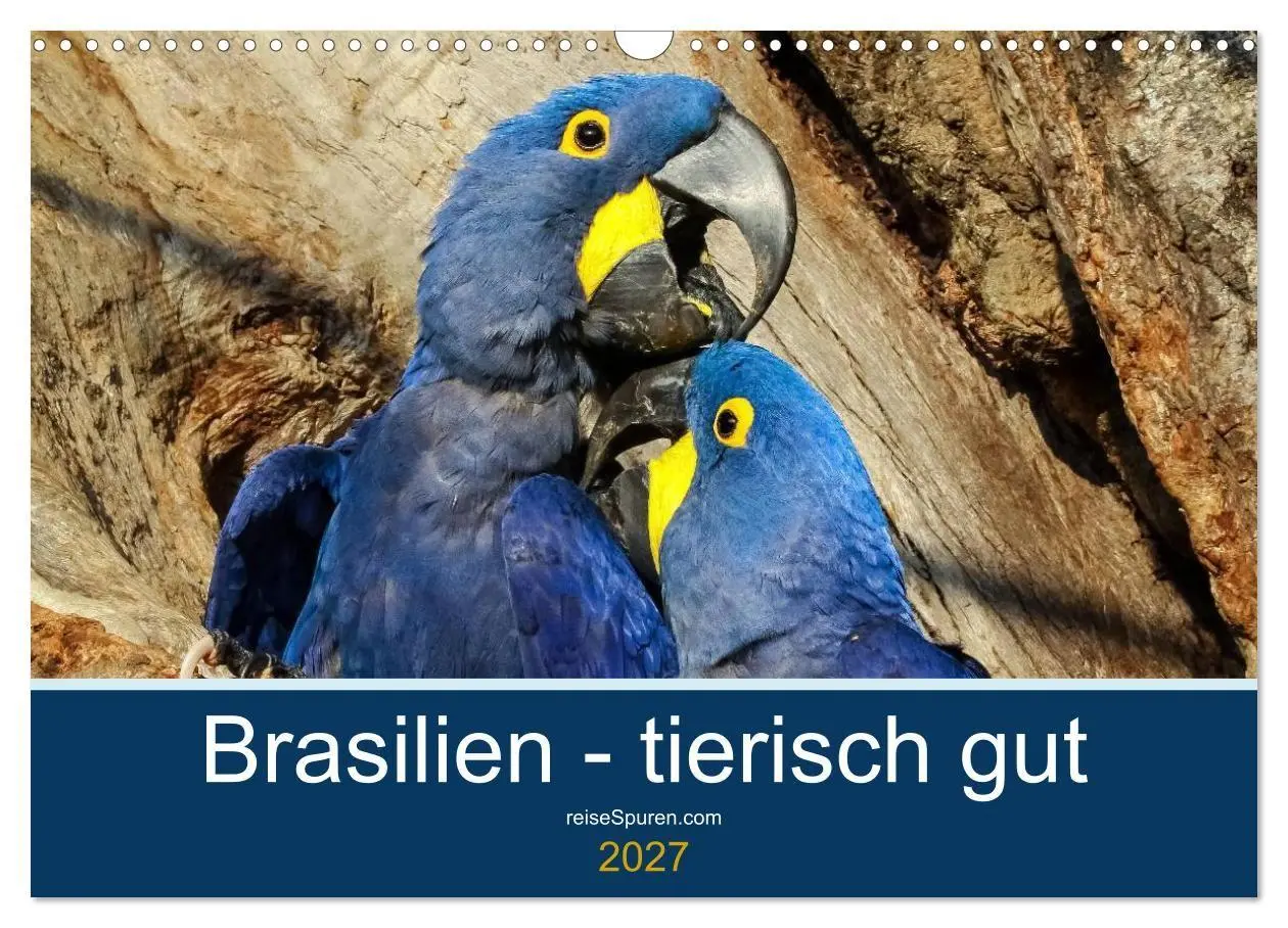 Cover: 9783594106747 | Brasilien tierisch gut 2027 (Wandkalender 2027 DIN A3 quer),...
