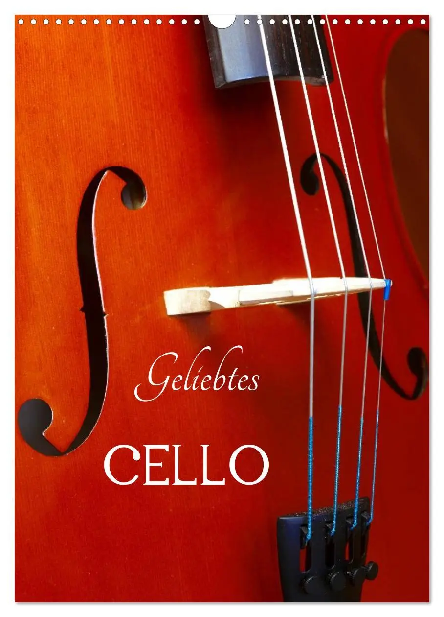 Cover: 9783516426847 | Geliebtes Cello (Wandkalender 2026 DIN A3 hoch), CALVENDO...