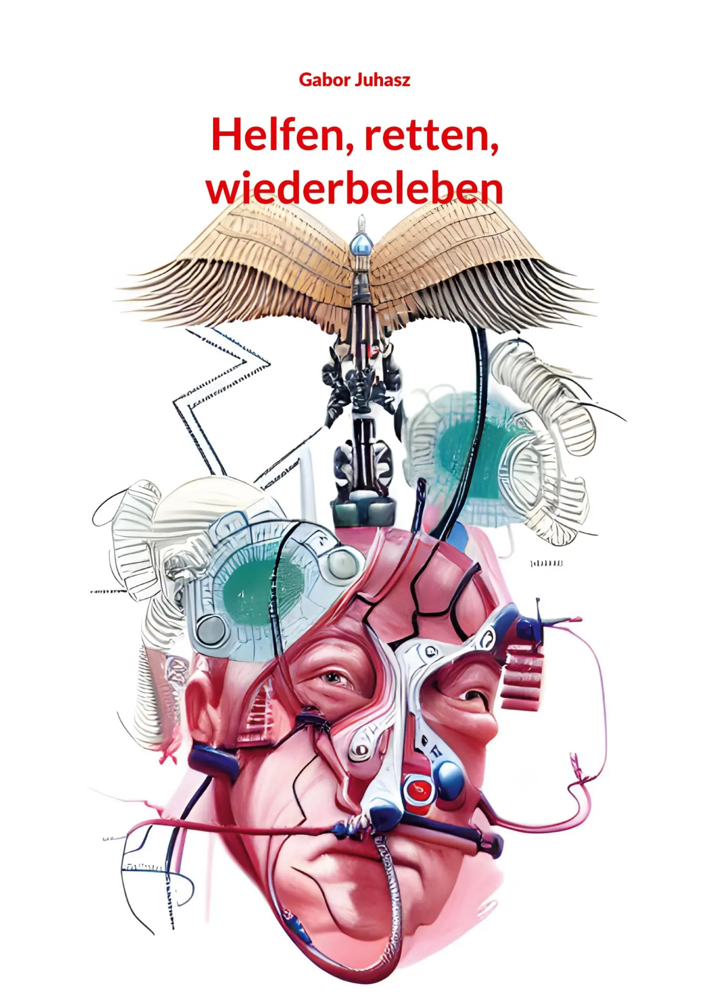 Cover: 9783695176847 | Helfen, retten, wiederbeleben | Gabor Juhasz | Taschenbuch | 212 S.