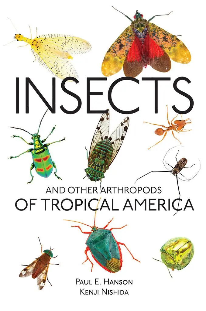Cover: 9780801456947 | Insects and Other Arthropods of Tropical America | Paul E Hanson