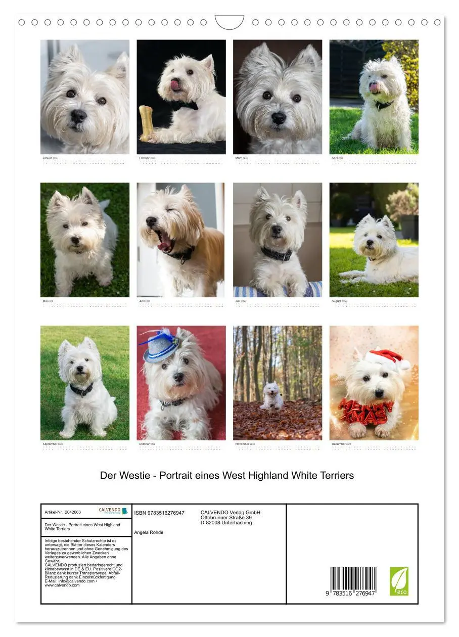 Bild: 9783516276947 | Der Westie - Portrait eines West Highland White Terriers...