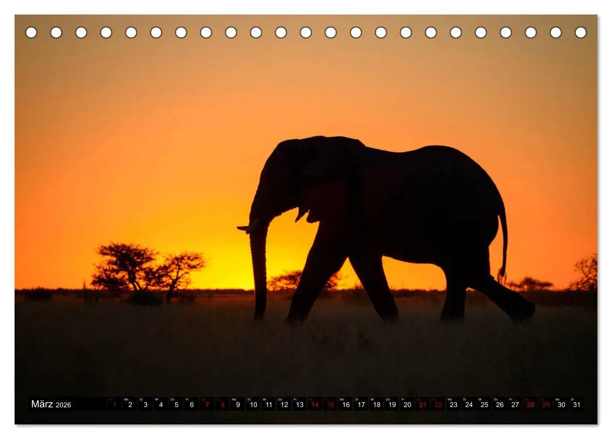 Bild: 9783457907047 | Faszination Botswana (Tischkalender 2026 DIN A5 quer), CALVENDO...