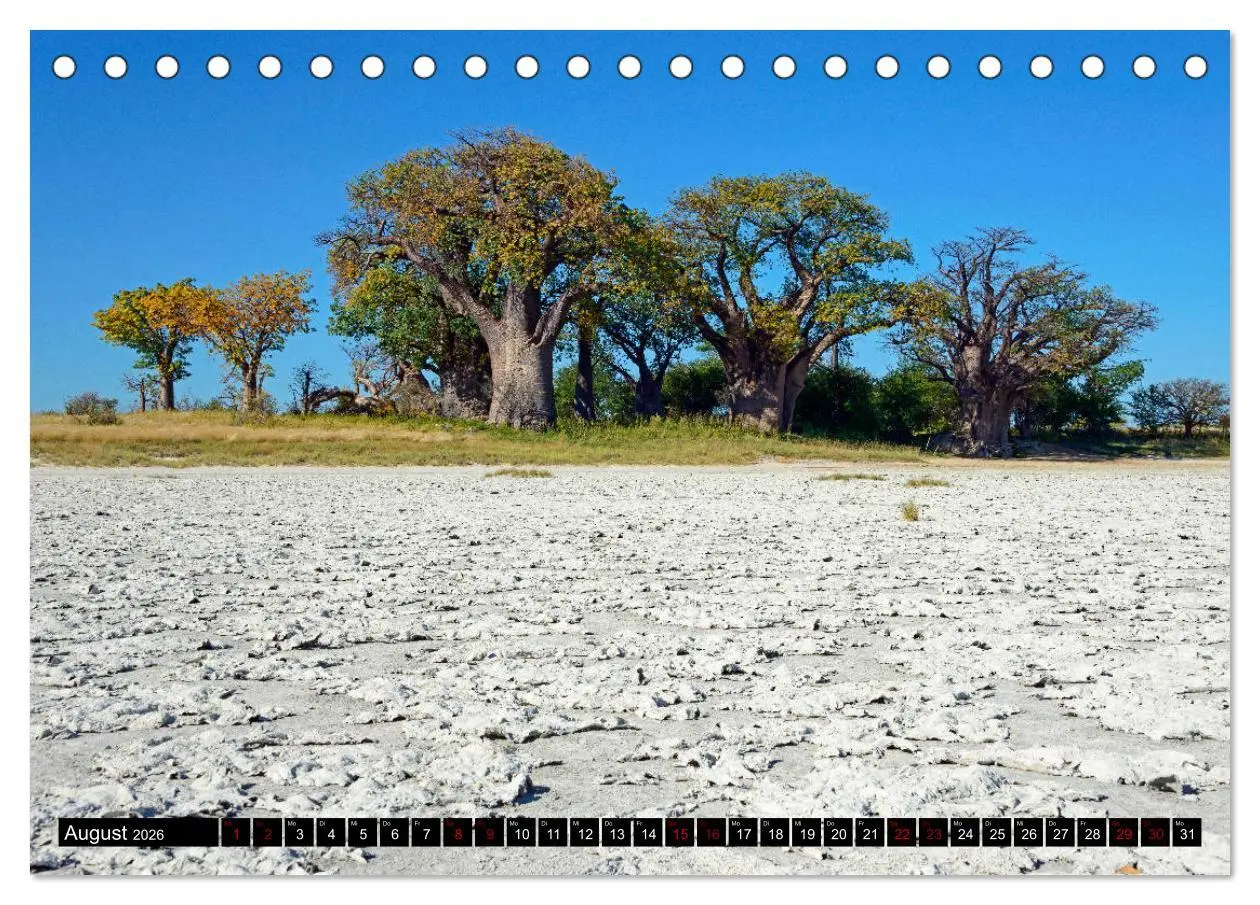 Bild: 9783457907047 | Faszination Botswana (Tischkalender 2026 DIN A5 quer), CALVENDO...