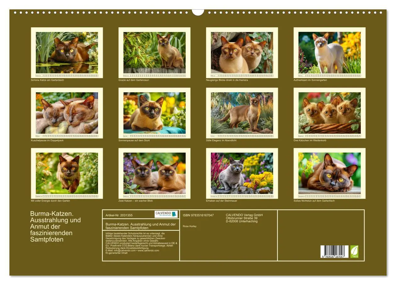 Bild: 9783516167047 | Burma-Katzen. Ausstrahlung und Anmut der faszinierenden Samtpfoten...