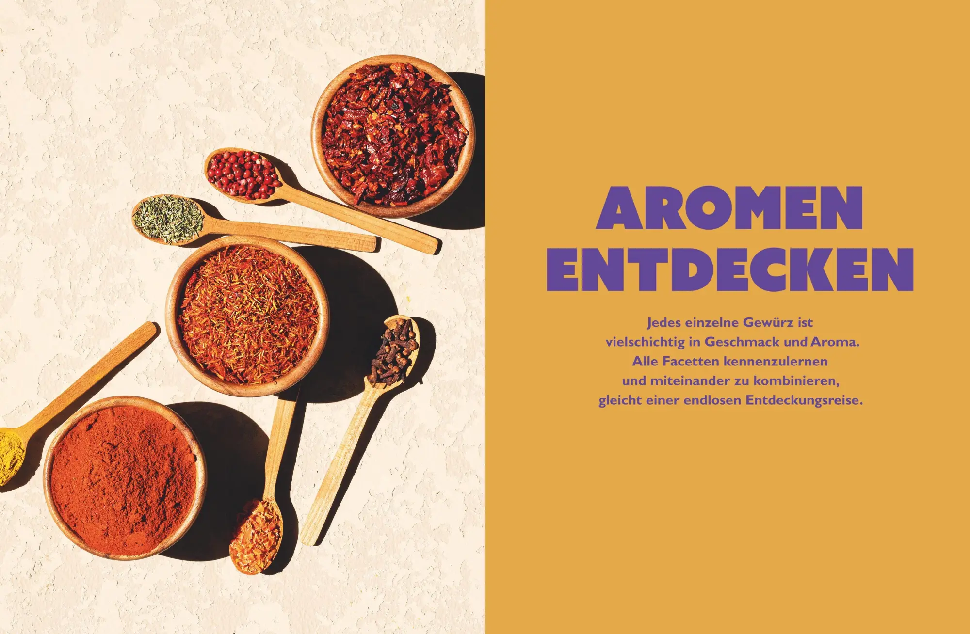Bild: 9783833897047 | Curry-Werkstatt | Aromen - genial kombiniert | Bettina Matthaei | Buch