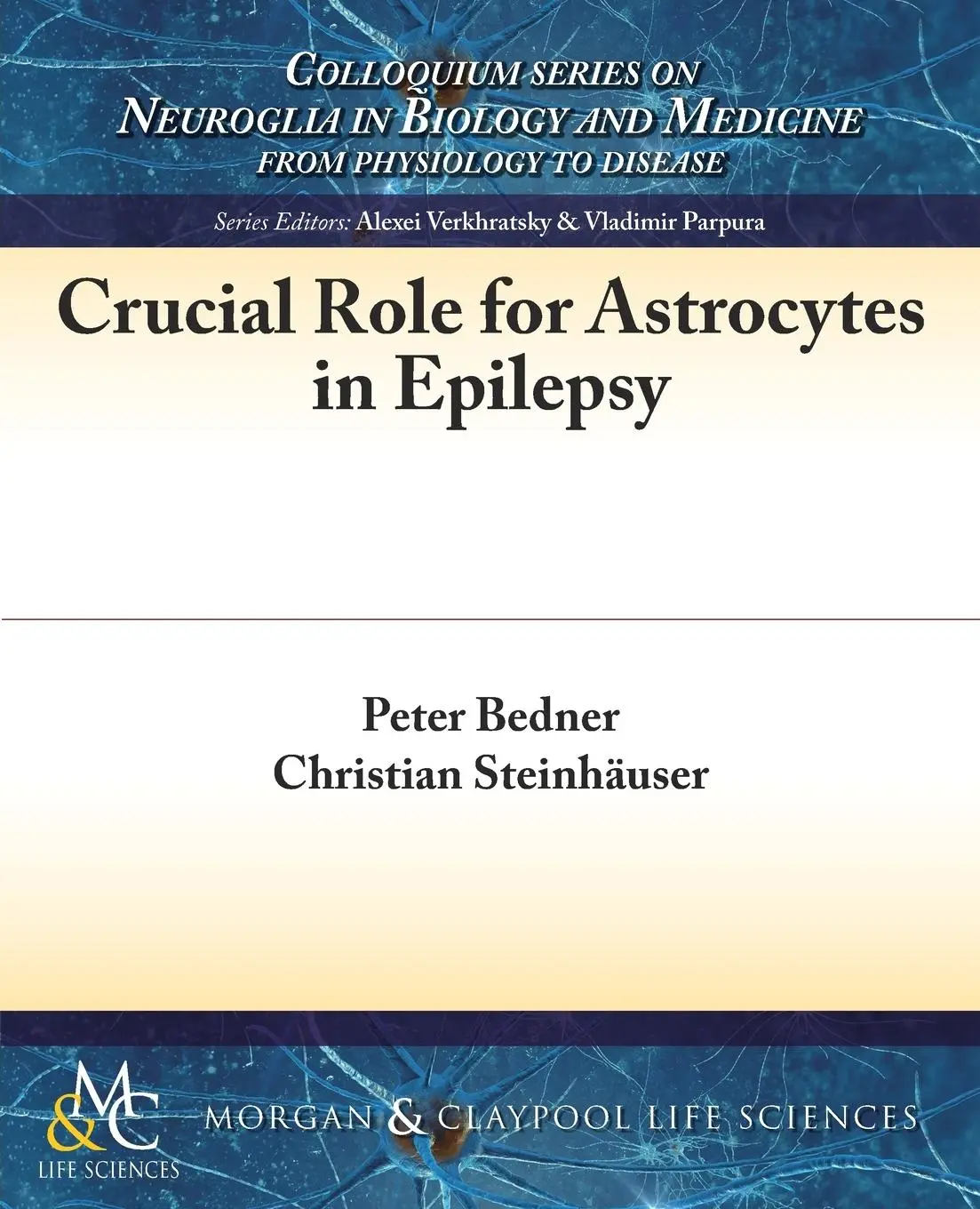 Cover: 9781615047147 | Crucial Role for Astrocytes in Epilepsy | Peter Bedner (u. a.) | Buch